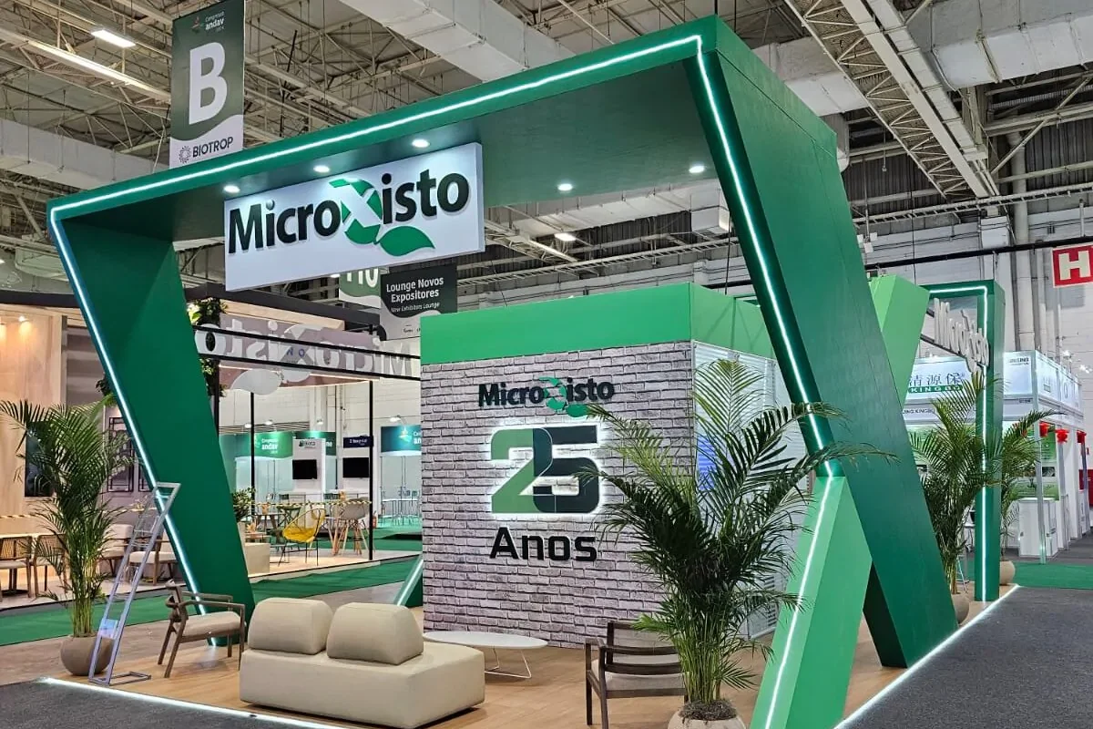 Stand Construído - Microxisto